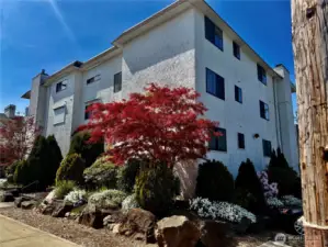 Welcome To Bay Vista Condos!