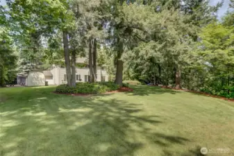 Massive yard with lush mature landscaping
