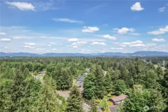 Winterwood Estates - Tree lined community with lots of serenity and privacy - yet close to shopping