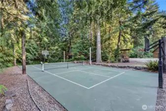 Sport court - perfect for your next pickleball tournament! And if you look close enough you can see the treehouse tucked back into the trees