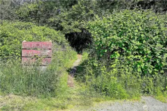 trails to beach #3