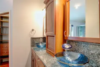 Primary suite has extensive bathroom, dual sinks, 2 storage/closet storage areas, high tech shower.