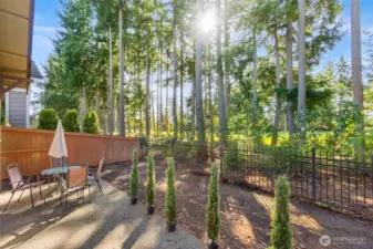 View from back patio