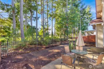 Another view from the back patio.