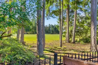 View of the golf course adjacent to the backyard.