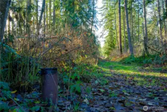 Wellhead East of Driveway Entrance