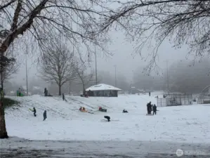 A view of sledding in the park!
