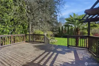 Can't go wrong with a deck this big