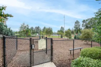 Dog park with secure fencing