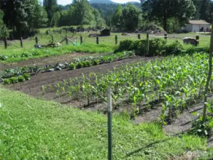 Spring garden - lots of space to plant your favorite vegetables