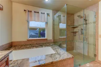 Primary Shower and Tub
