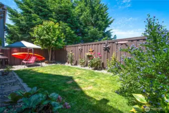 Private Back Yard