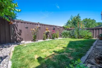 Fenced Back Yard