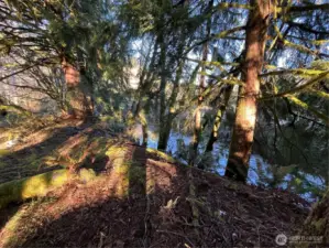 Salmon Creek running along property border