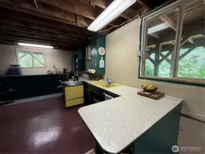 Basement kitchen area