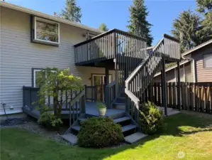 Backyard / Patio / Deck