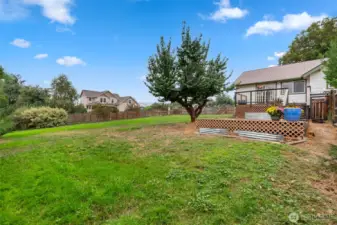 Large 1/2 Acre Lot