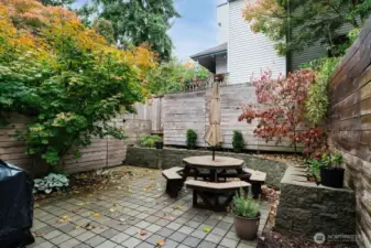Spacious back yard- fully fenced