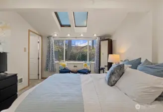 Skylights and large picture window of serene backyard