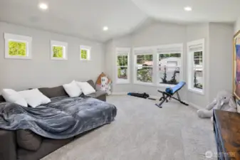 Bonus Room-vaulted ceiling