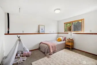 Second lower level bedroom.