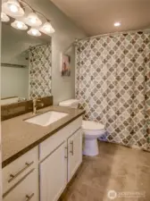 Guest Full Bathroom