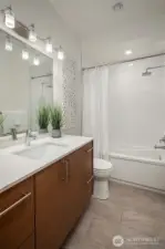 Lower level full bath