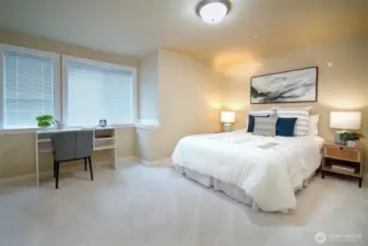Spacious lower level bedroom with walk-in closet.