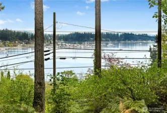 The current home on site enjoys views of Liberty Bay as could future home sites.