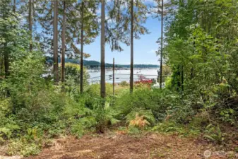 The current views could also be improved by potential removal of trees on this lot.