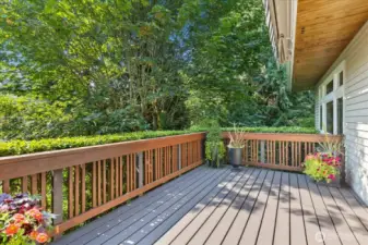 Newly built deck off kitchen