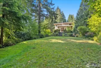 Backyard (yes it is almost a football field) looking back to the house