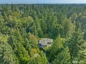 Like a tree house, nestled in and very private