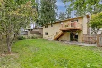 Large and level backyard.