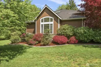 Large grassy backyard