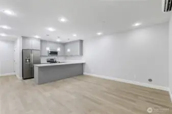 Basement Living Area