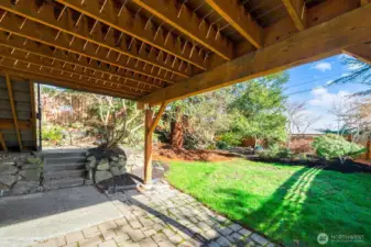 Another view of the back yard. Note, no neighbors visible.