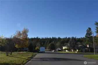 Anacortes Forest Lands trailhead 1/2 a block away.  (dead end street)