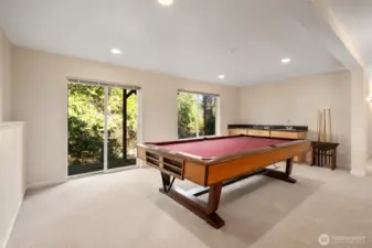 2 of 2 lower level bonus rooms