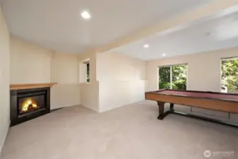 2 of 2 lower level bonus rooms