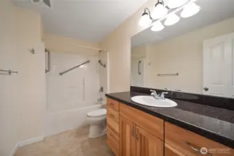 Lower level bathroom
