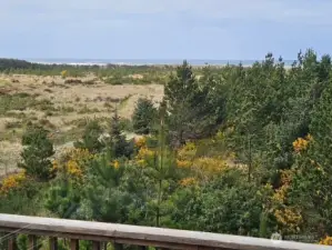 This is the view from the back deck and the living room.