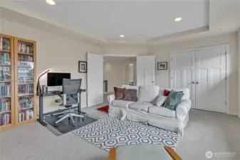 Bonus room or large bedroom