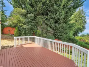 Back Deck