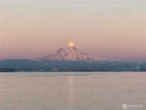 Spectacular views of Mt Rainier