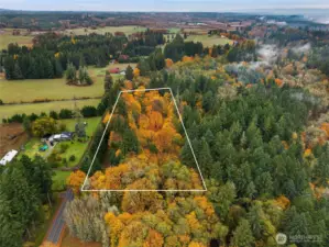 Here is your 5 +/- Ac. Building Lot - Peace and quiet!