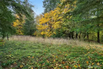 This is the upper site - perfect for a home, just off Telegraph