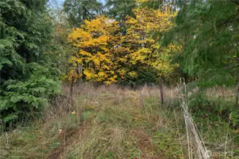 For even more privacy - build here - the lower building site!