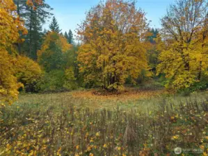 Here is the perfect building site!