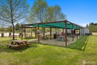 covered area for parties or to take breaks out of the sun